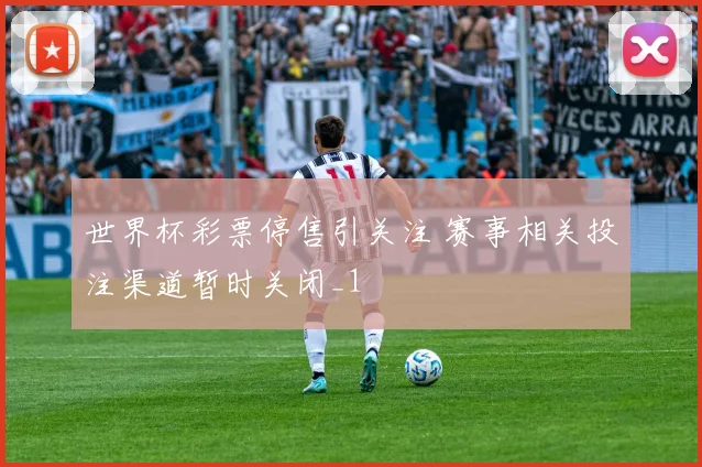 世界杯彩票停售引关注 赛事相关投注渠道暂时关闭_1