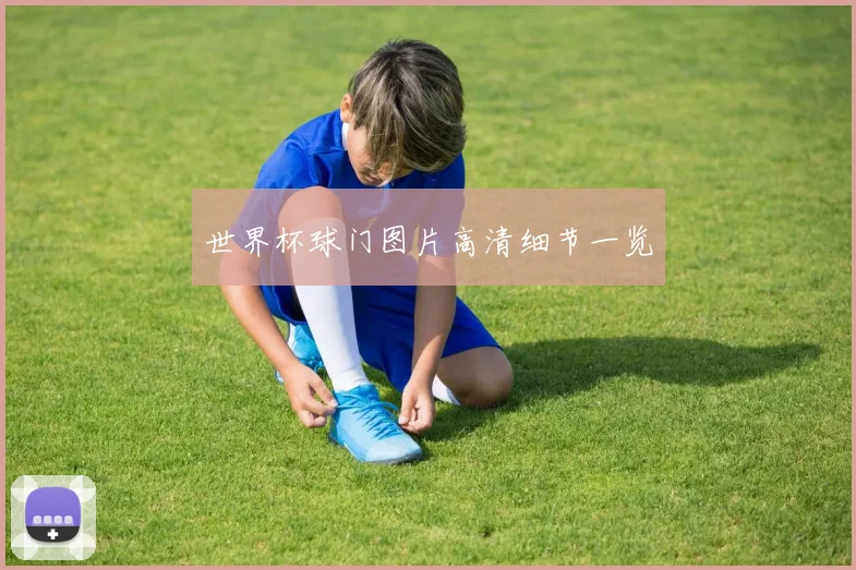 世界杯球门图片高清细节一览