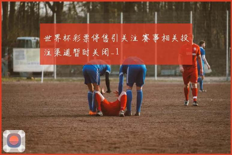 世界杯彩票停售引关注 赛事相关投注渠道暂时关闭_1