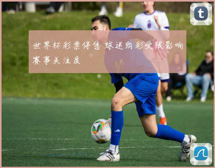 世界杯彩票停售 球迷购彩受限影响赛事关注度